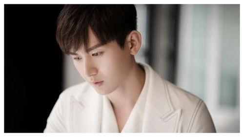 吃瓜娱乐圈成毅是谁啊,娱乐圈新晋“吃瓜王”的崛起之路